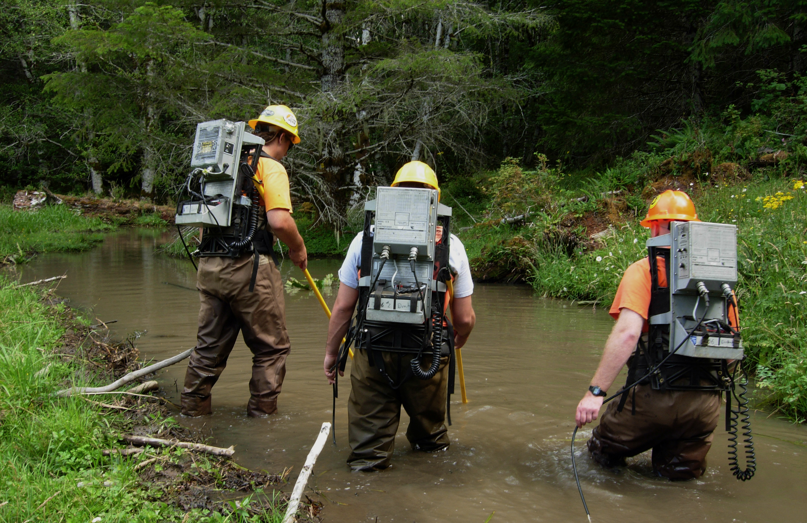 Three scientists in a river