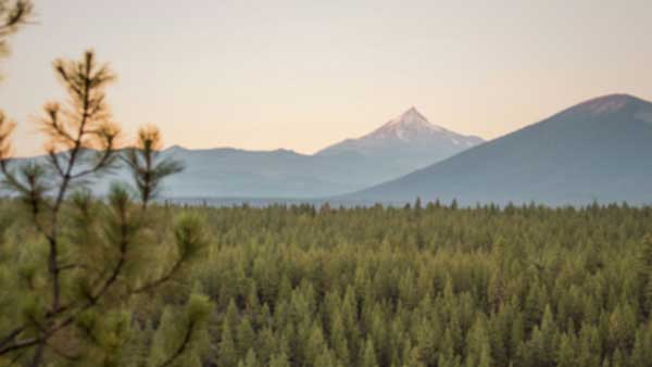 Black Butte