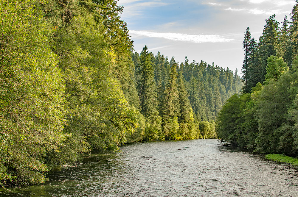 McKenzie River