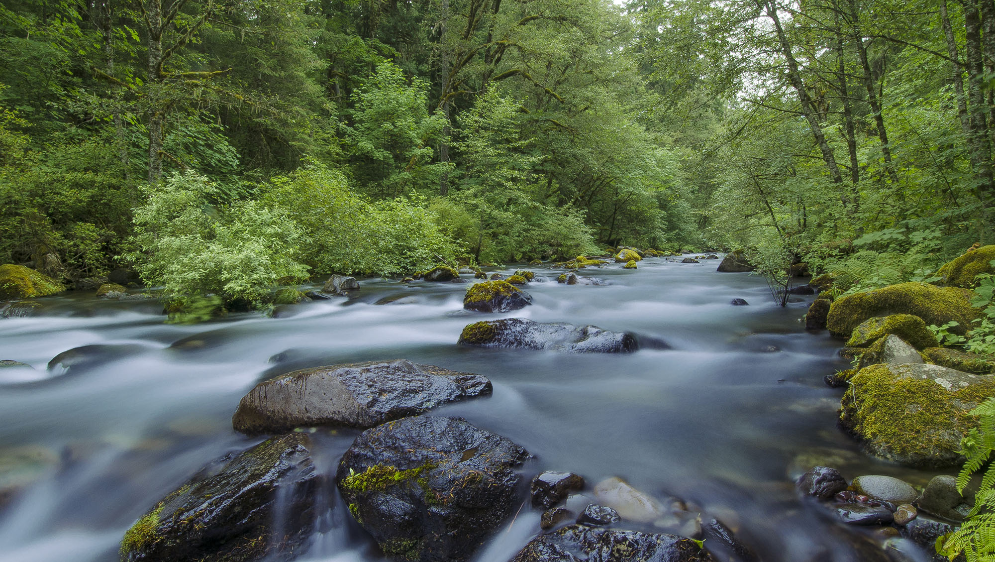 A fast moving stream