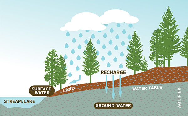 Water table diagram