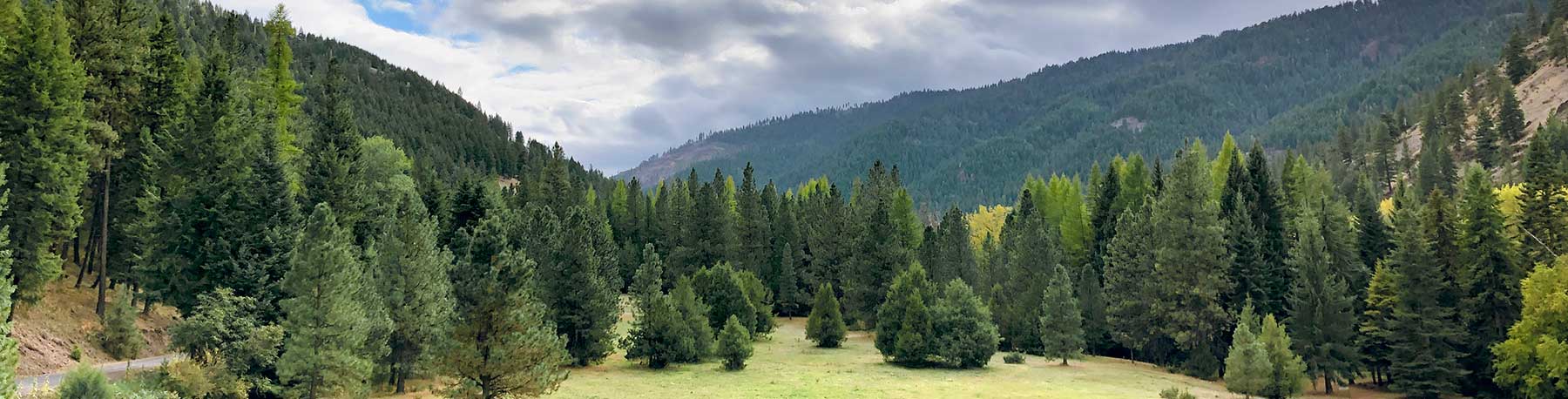 OFRI blog banner image