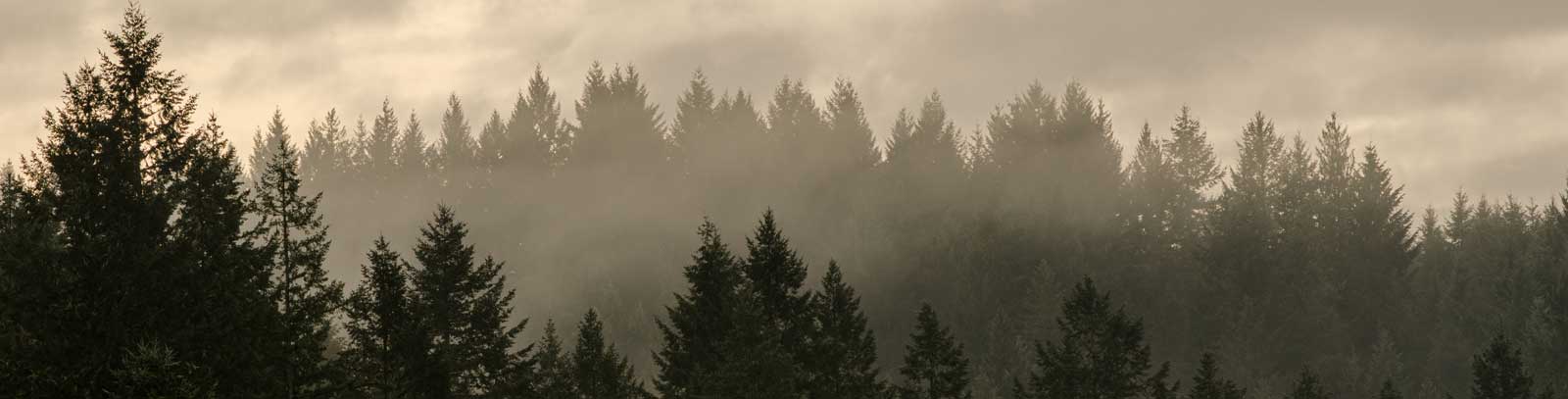 Climate threat banner image