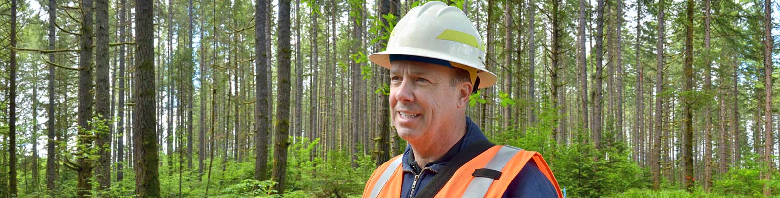 Ask A Forester Banner image