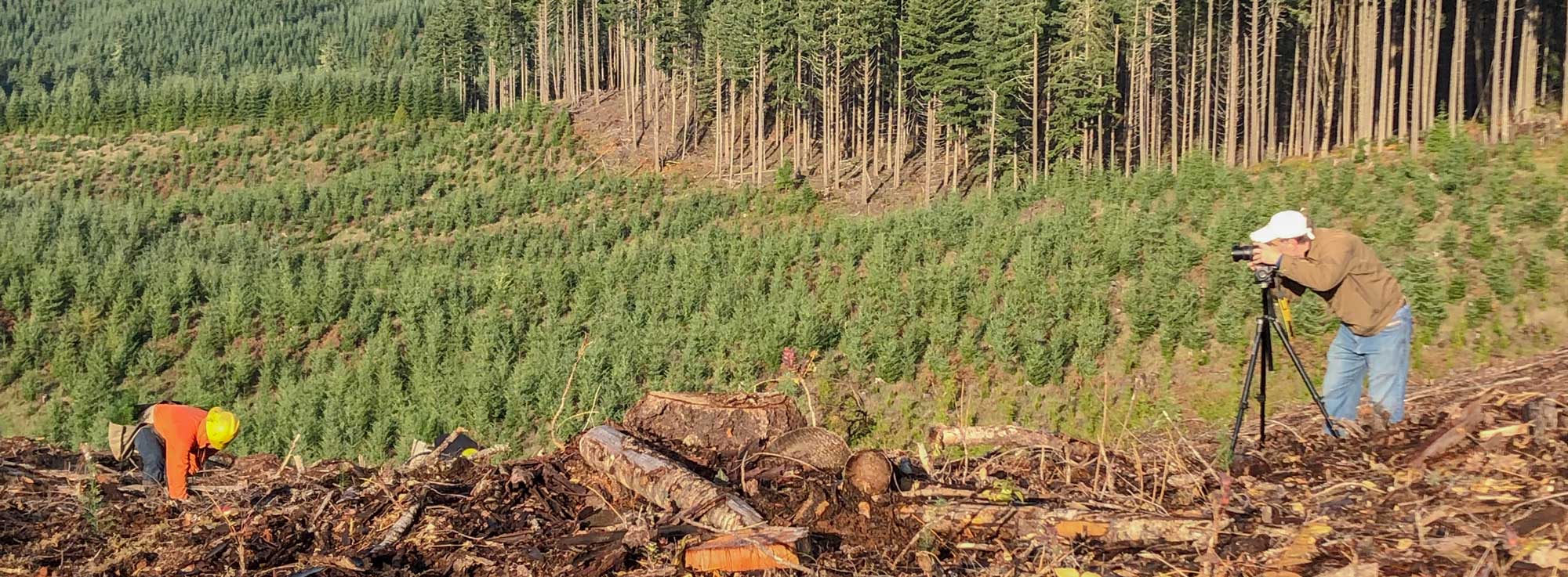 Photo gallery banner