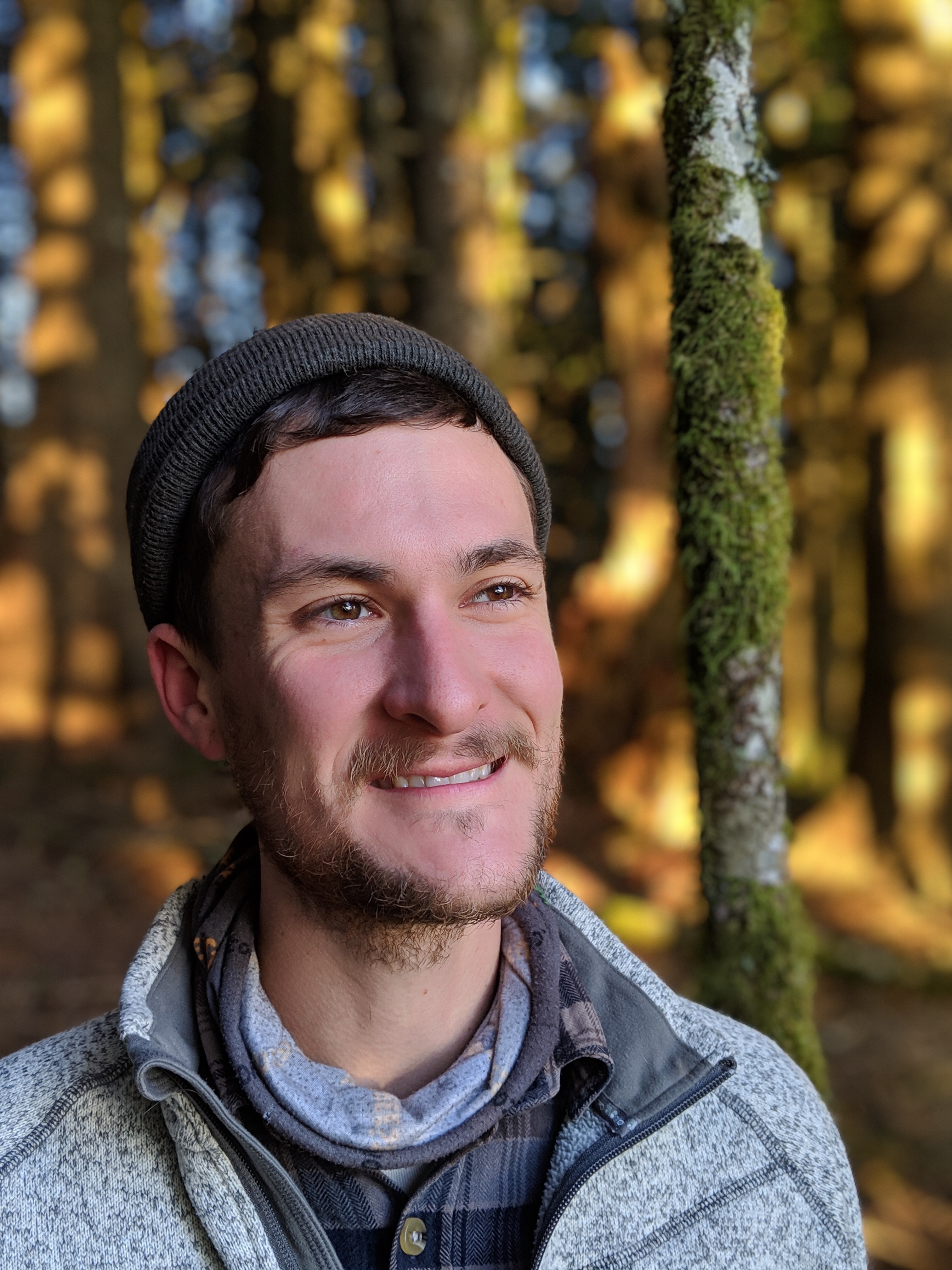 Close up of Casey in a forest.