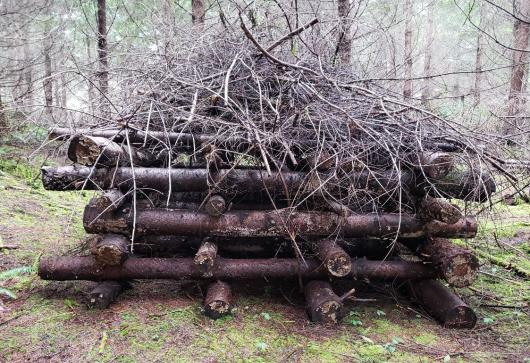 A habitat pile built in the "log cabin" style with logs stacked on top of each other and sticks piled on top. 