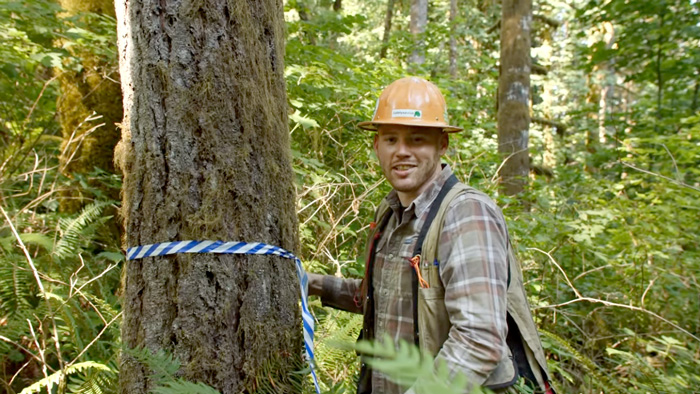 Forester standing next to tree with flag on it