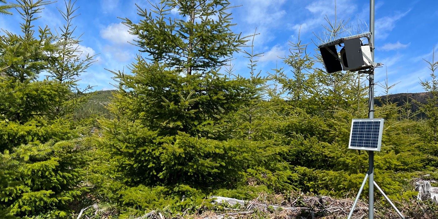 Solar-powered camera next to trees.