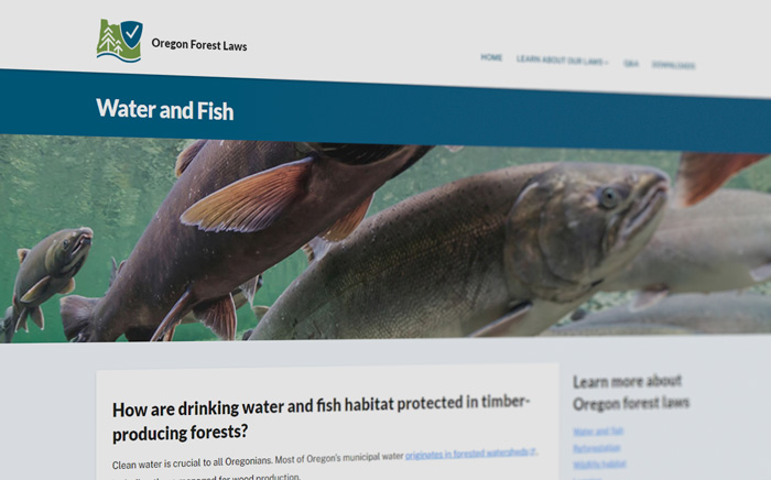 Screen capture of OregonForestLaws.org website