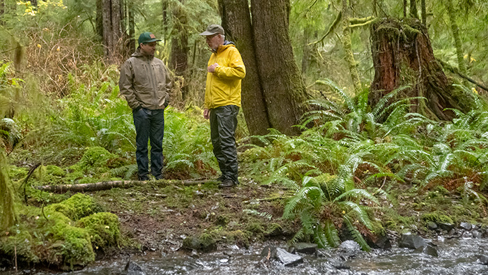 Two people standing in the forest