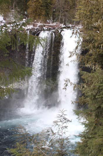 Waterfall with split flows surrounded by trees.