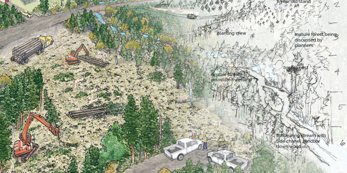Illustration of logging operation.