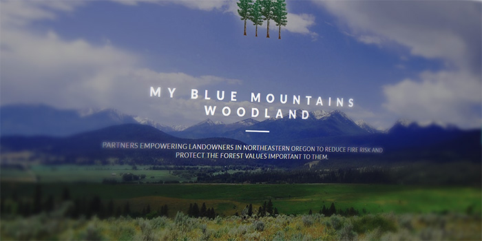 My Blue Mountains Woodland website screencap