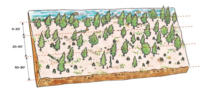 Stream buffer illustration