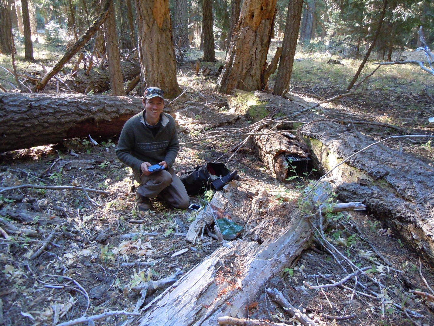 Setting up a trap to catch a fisher.