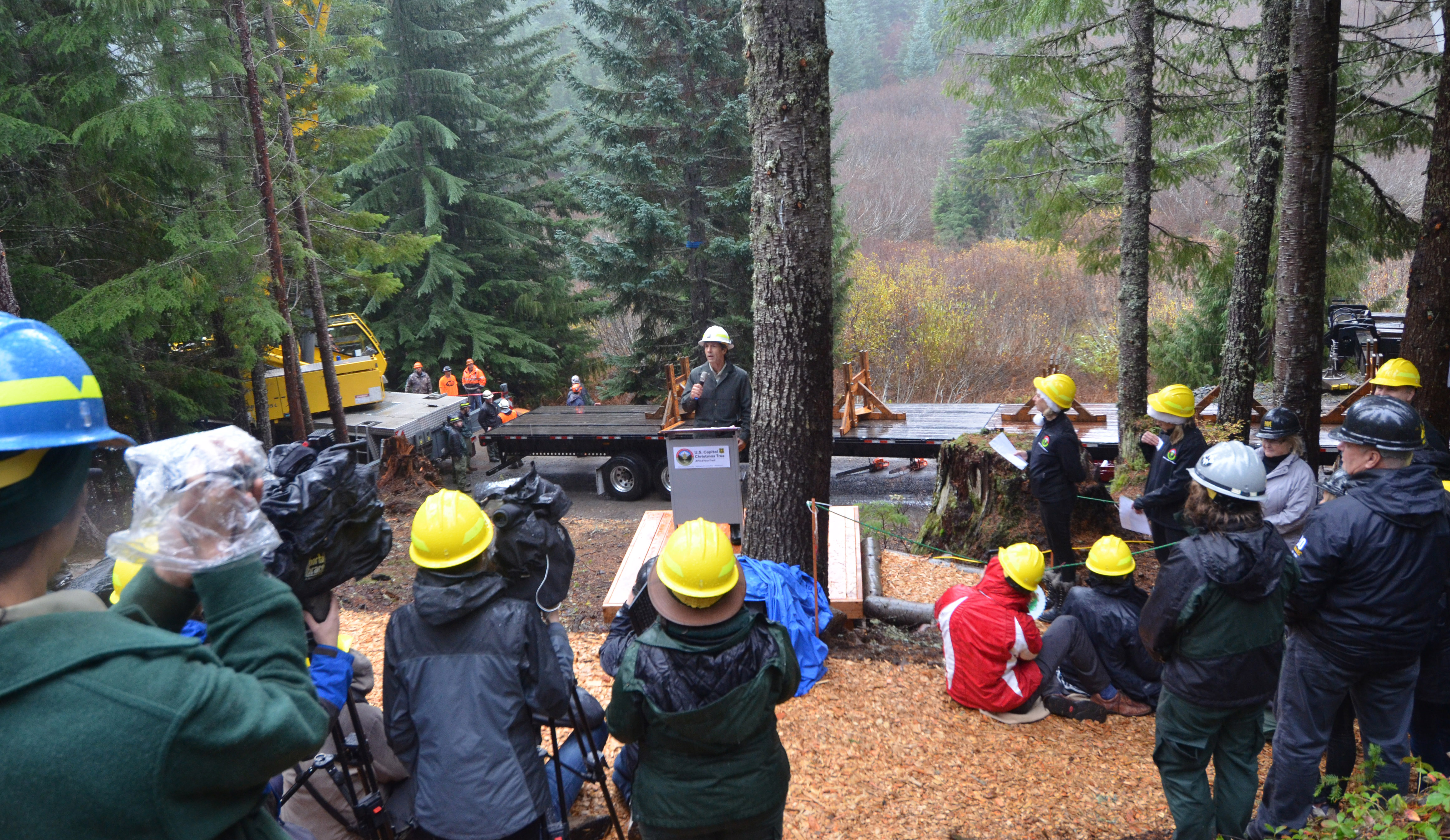 U.S. Capitol Christmas Tree cutting ceremony