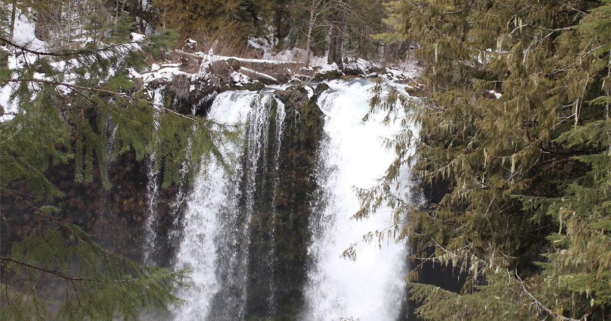 Photo of Koosah Falls