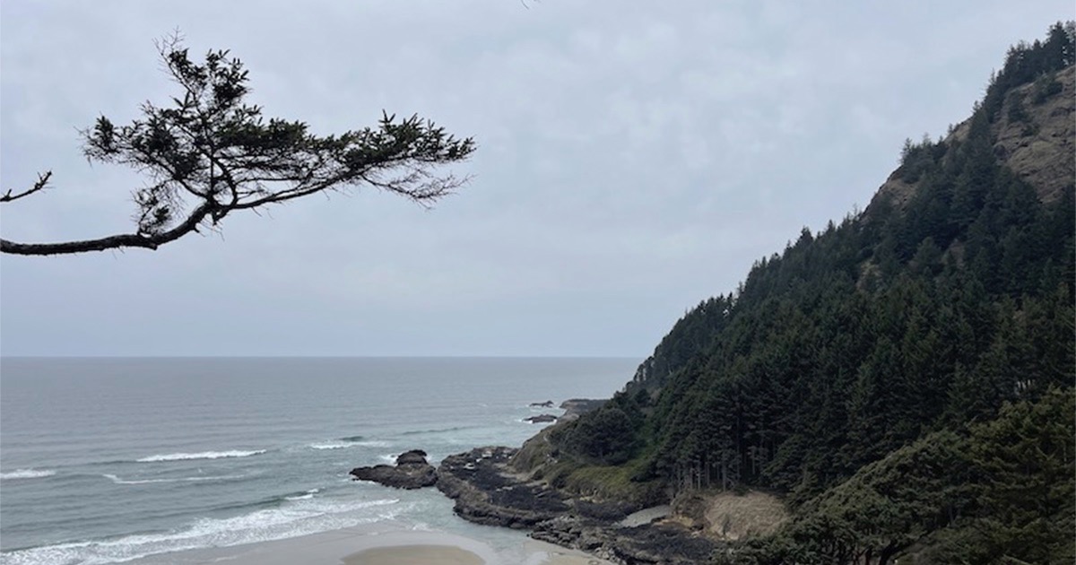 Photo of Oregon Coast