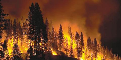 Oregon forests are increasingly prone to large catastrophic fire