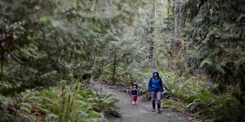 Hiking with kids inside Tryon Creek park