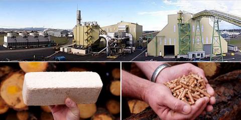 Seneca Sawmill in Eugene