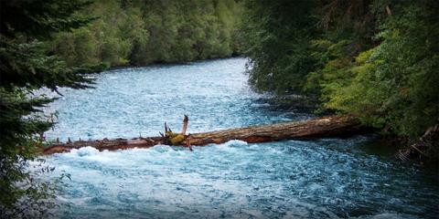 McKenzie River