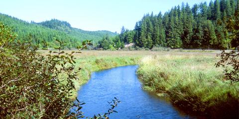 Brian Booth State Park, Oregon