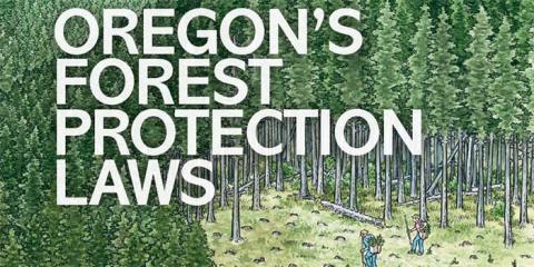 Cover of Oregon's Forest Protection Laws - An Illustrated Manual 