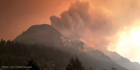Eagle Creek Fire