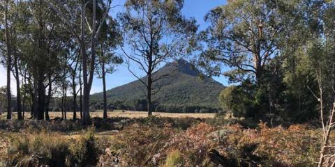 Tasmanian forest and hills.