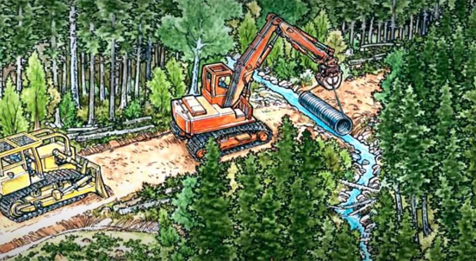 Forest road engineering