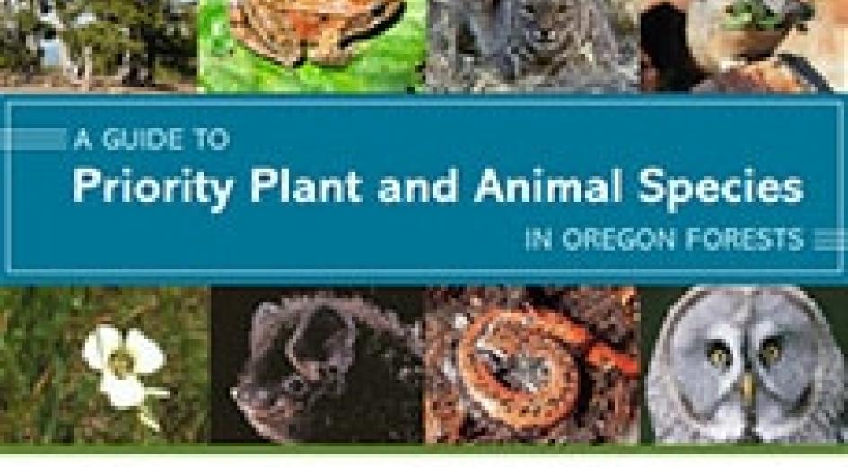 Guide to Priority Plant and Animal Species in Oregon Forests