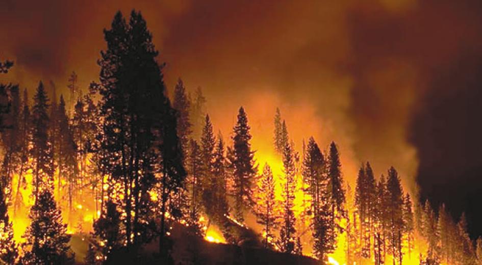 Oregon forests are increasingly prone to large catastrophic fire