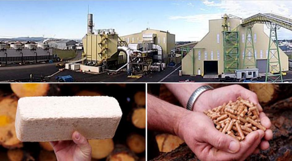 Seneca Sawmill in Eugene