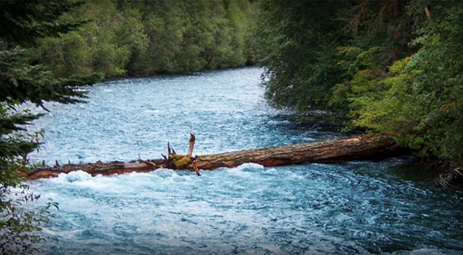 McKenzie River
