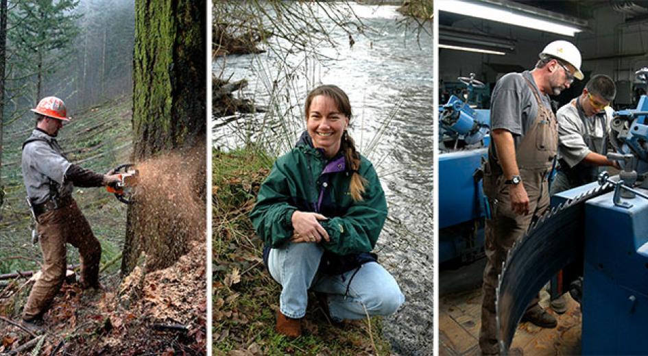 Oregon jobs in the forest sector