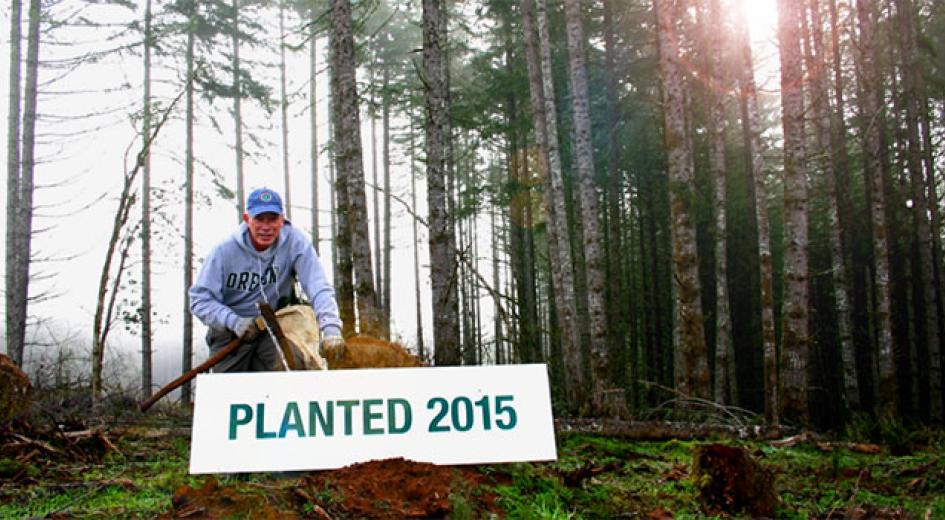 Paul Barnum planting trees