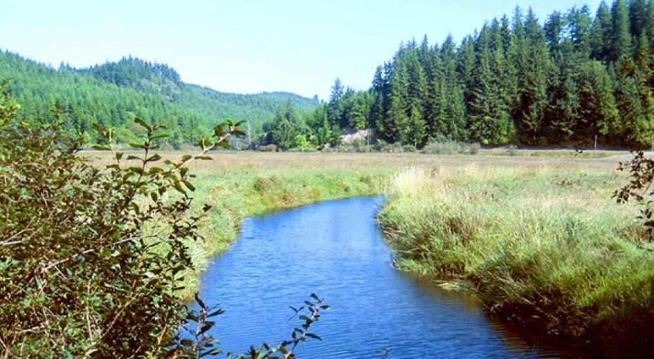 Brian Booth State Park, Oregon