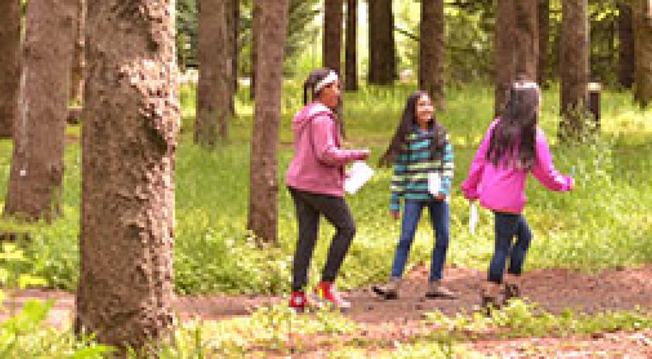 Explore the Forest: Student Workbook