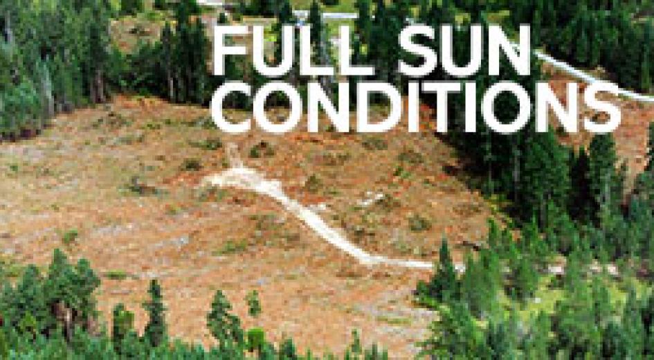 Fact Sheet: Clearcutting