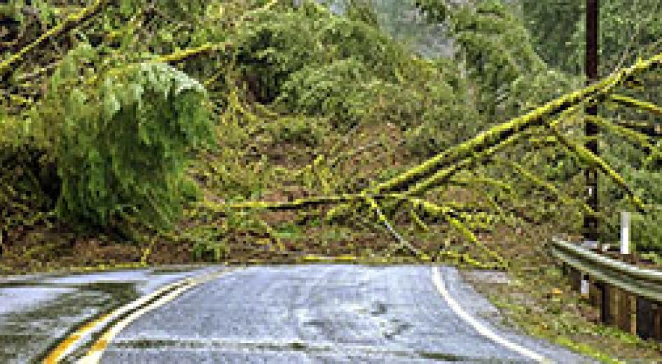 Fact Sheet: Landslides