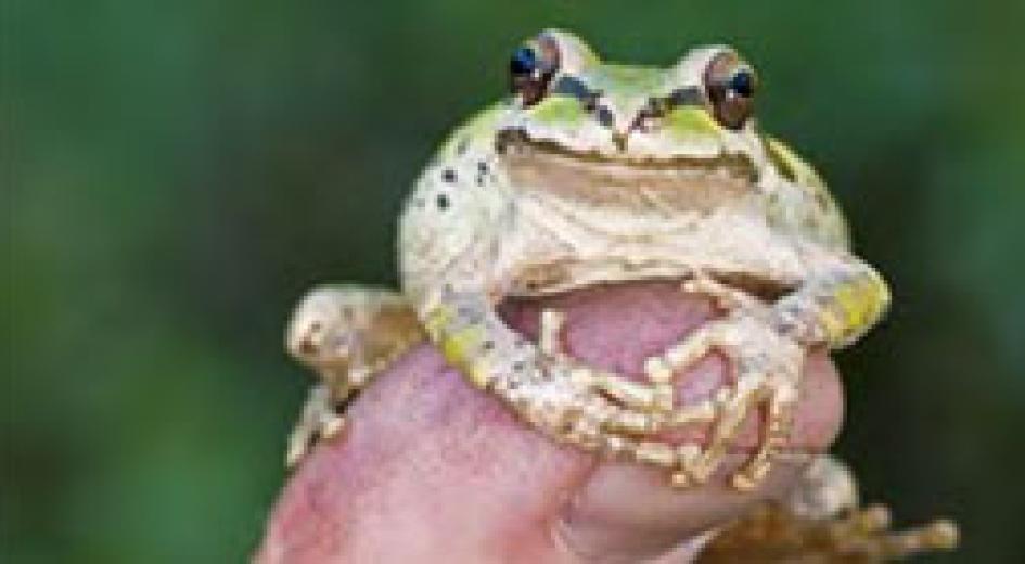 Into the Forest: Student Workbook 