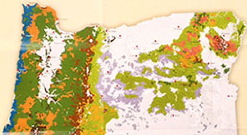 Oregon's Forests Poster