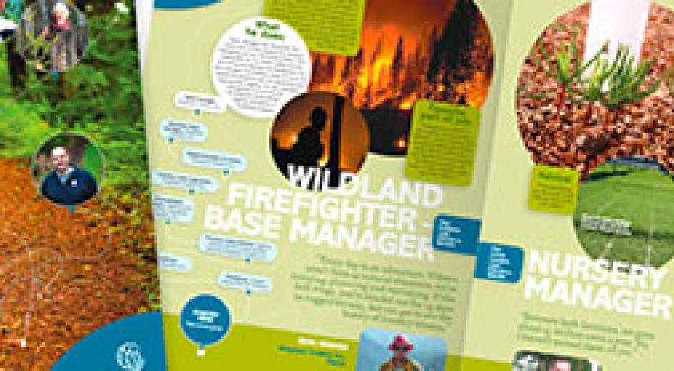 Find Your Path Instruction Guide