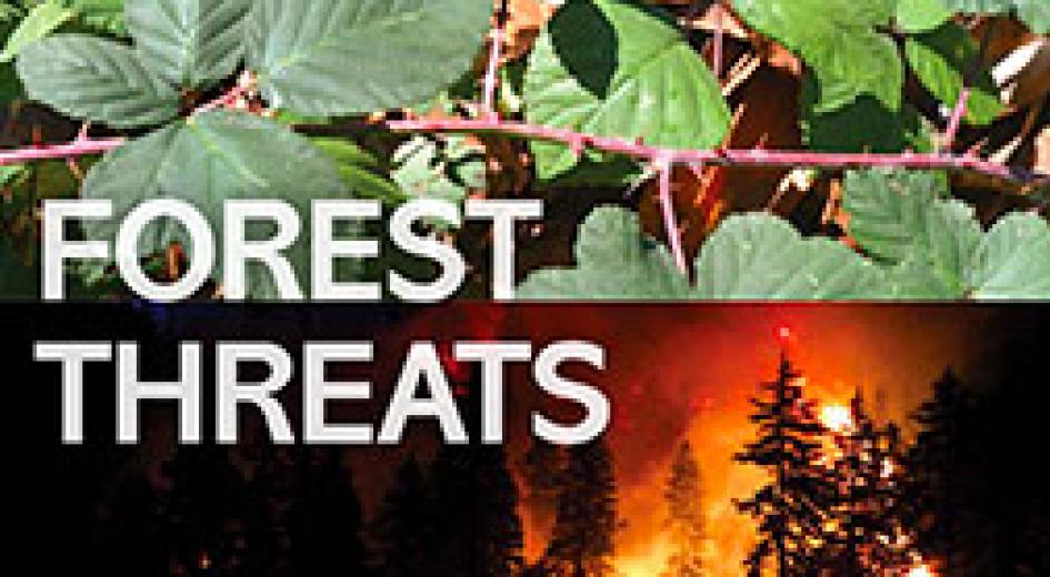 Forest Threats