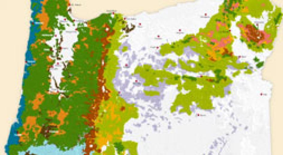 Oregon's Forests Instruction Guide
