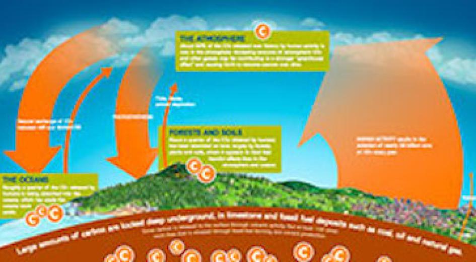 Where's All The Carbon? Instruction Guide