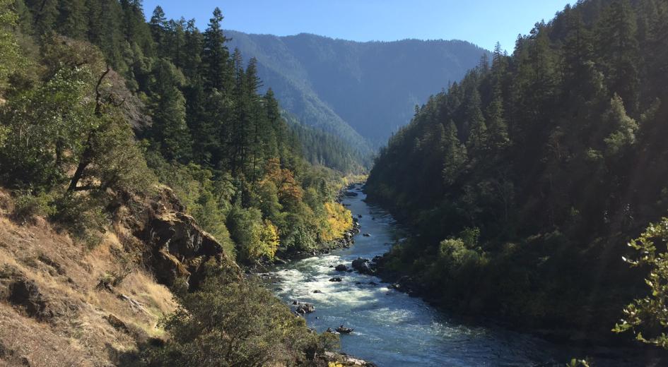 Rogue River 
