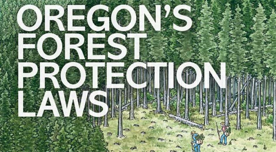 Cover of Oregon's Forest Protection Laws - An Illustrated Manual 